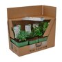 Borderpakket Herb Garden